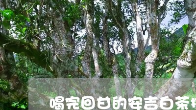 喝完回甘的安吉白茶推荐/2023101646138