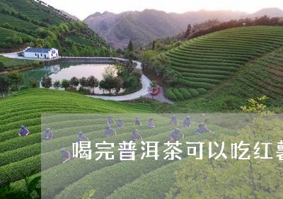 喝完普洱茶可以吃红薯吗/2023122036160