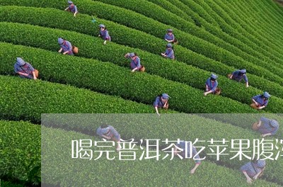 喝完普洱茶吃苹果腹泻/2023062192804