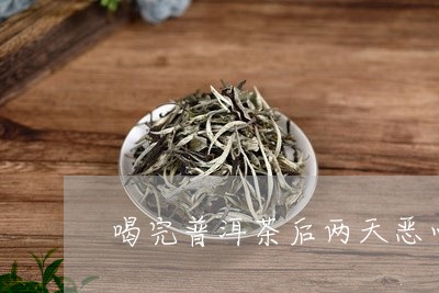 喝完普洱茶后两天恶心/2023072368603