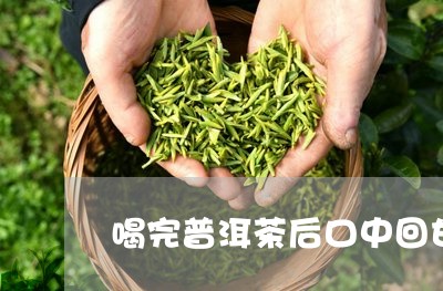 喝完普洱茶后口中回甘/2023062392706