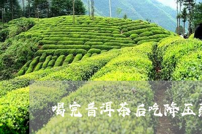 喝完普洱茶后吃降压药/2023092716159