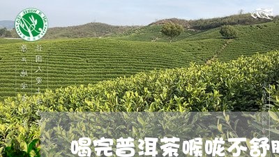 喝完普洱茶喉咙不舒服怎么办/2023110229292