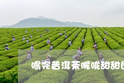 喝完普洱茶喉咙甜甜的/2023100660602