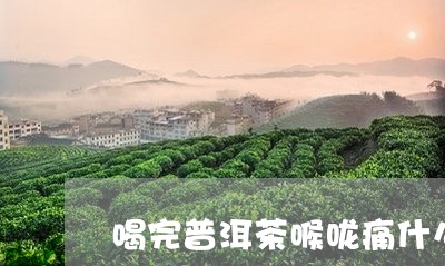 喝完普洱茶喉咙痛什么原因/2023110289401