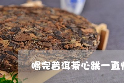 喝完普洱茶心跳一直快/2023092998271