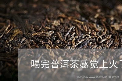 喝完普洱茶感觉上火了/2023121507049