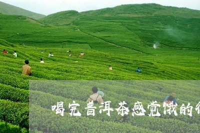 喝完普洱茶感觉饿的很/2023073008158