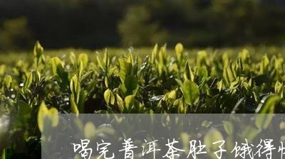 喝完普洱茶肚子饿得快/2023093016856