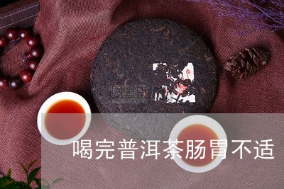 喝完普洱茶肠胃不适/2023091438581