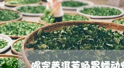 喝完普洱茶肠胃蠕动快/2023100628250