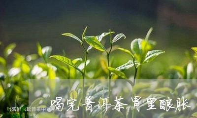 喝完普洱茶胃里酸胀/2023112540682