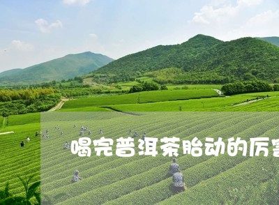 喝完普洱茶胎动的厉害/2023100611615