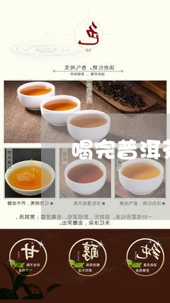 喝完普洱茶饿怎么解决/2023100853624