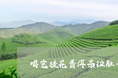 喝完桂花普洱茶拉肚子/2023100546281