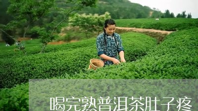 喝完熟普洱茶肚子疼/2023071047352