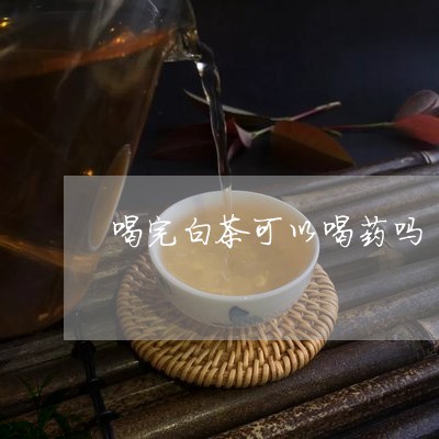 喝完白茶可以喝药吗/2023071648271