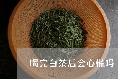 喝完白茶后会心慌吗/2023121842715