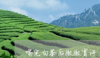 喝完白茶后微微冒汗/2023081336248