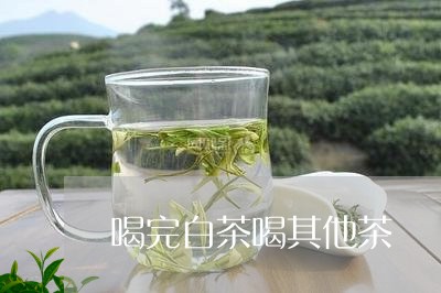 喝完白茶喝其他茶/2023061658503