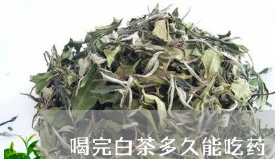 喝完白茶多久能吃药/2023071649502