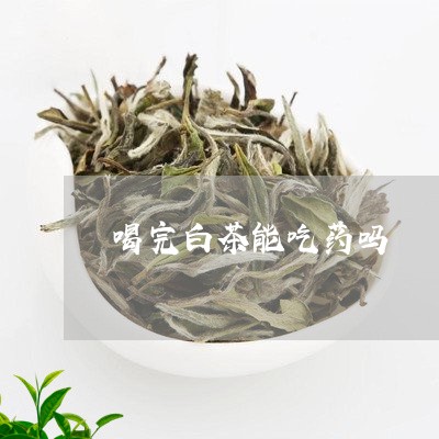 喝完白茶能吃药吗/2023061653847