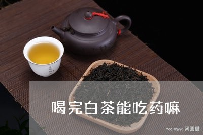 喝完白茶能吃药嘛/2023061600415