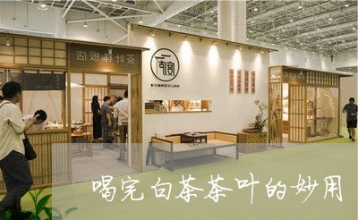 喝完白茶茶叶的妙用/2023071672826