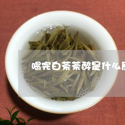 喝完白茶茶醉是什么原因/2023101661714