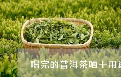 喝完的普洱茶晒干用途/2023120745960