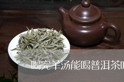 喝完羊汤能喝普洱茶吗/2023061661726