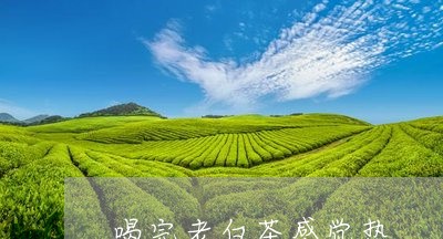 喝完老白茶感觉热/2023061650706