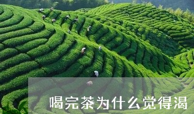 喝完茶为什么觉得渴/2023042005148