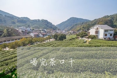 喝完茶口干/2023121987159