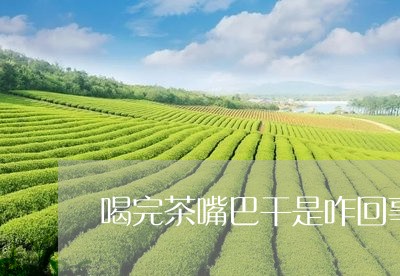 喝完茶嘴巴干是咋回事/2023060828151