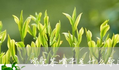 喝完茶嘴干是什么原因/2023060878472