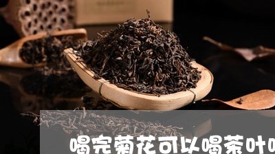 喝完菊花可以喝茶叶吗/2023092304827