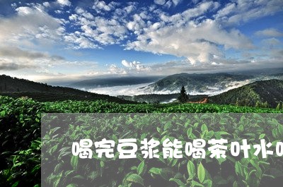 喝完豆浆能喝茶叶水吗/2023092373048