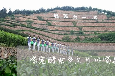 喝完酵素多久可以喝茶/2023060871615