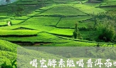 喝完酵素能喝普洱茶吗/2023072386270