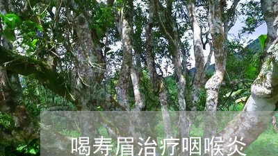 喝寿眉治疗咽喉炎/2023061648493