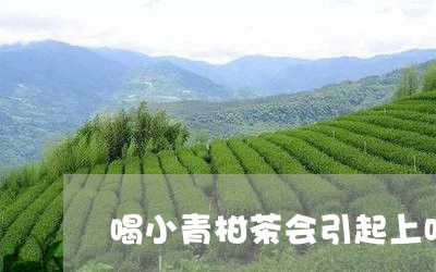 喝小青柑茶会引起上吐下泻吗/2023052618370