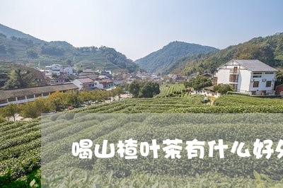 喝山楂叶茶有什么好处/2023071441535