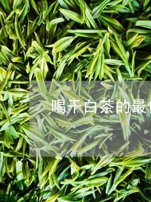 喝干白茶的最佳时间/2023071684028