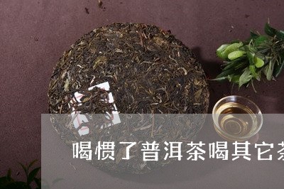 喝惯了普洱茶喝其它茶/2023080373725