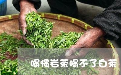 喝惯岩茶喝不了白茶/2023071605048