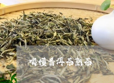 喝懂普洱茶熟茶/2023112665947