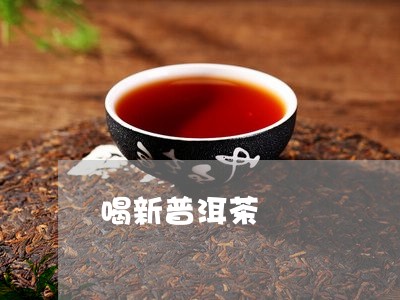 喝新普洱茶/2023090620571