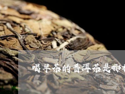 喝早茶的普洱茶是哪种茶/2023102458582