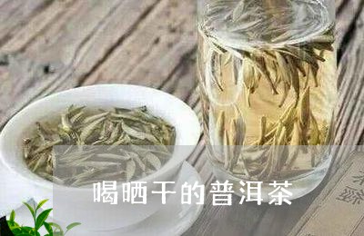 喝晒干的普洱茶/2023121524048